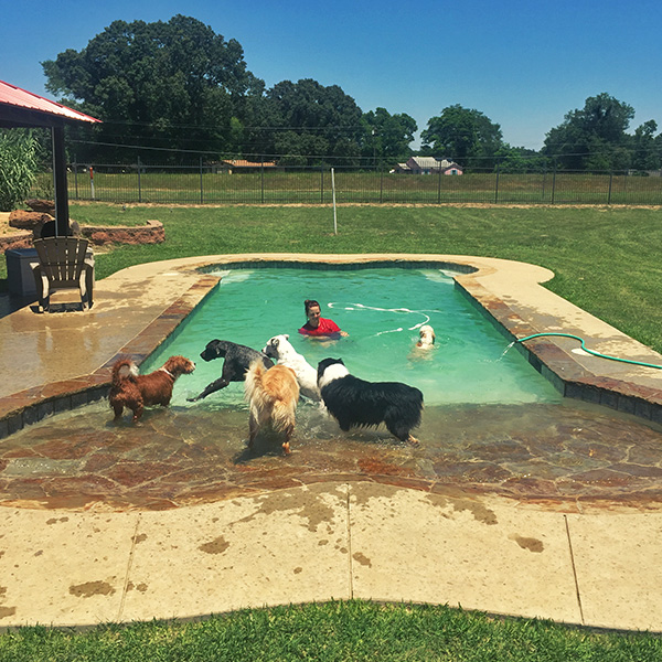 Dog Park in Tyler TX | Bed Bath n Bonz